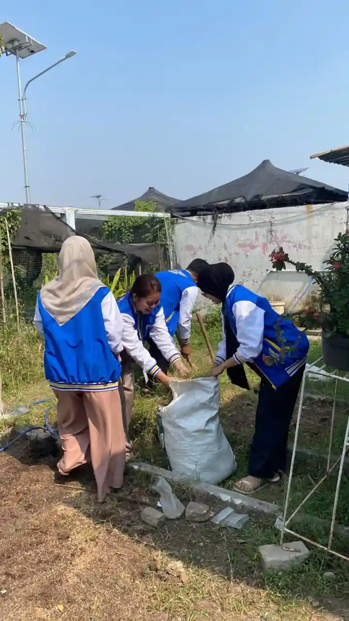 Memanfaatkan Lahan Terbengkalai Menjadi Produktif
